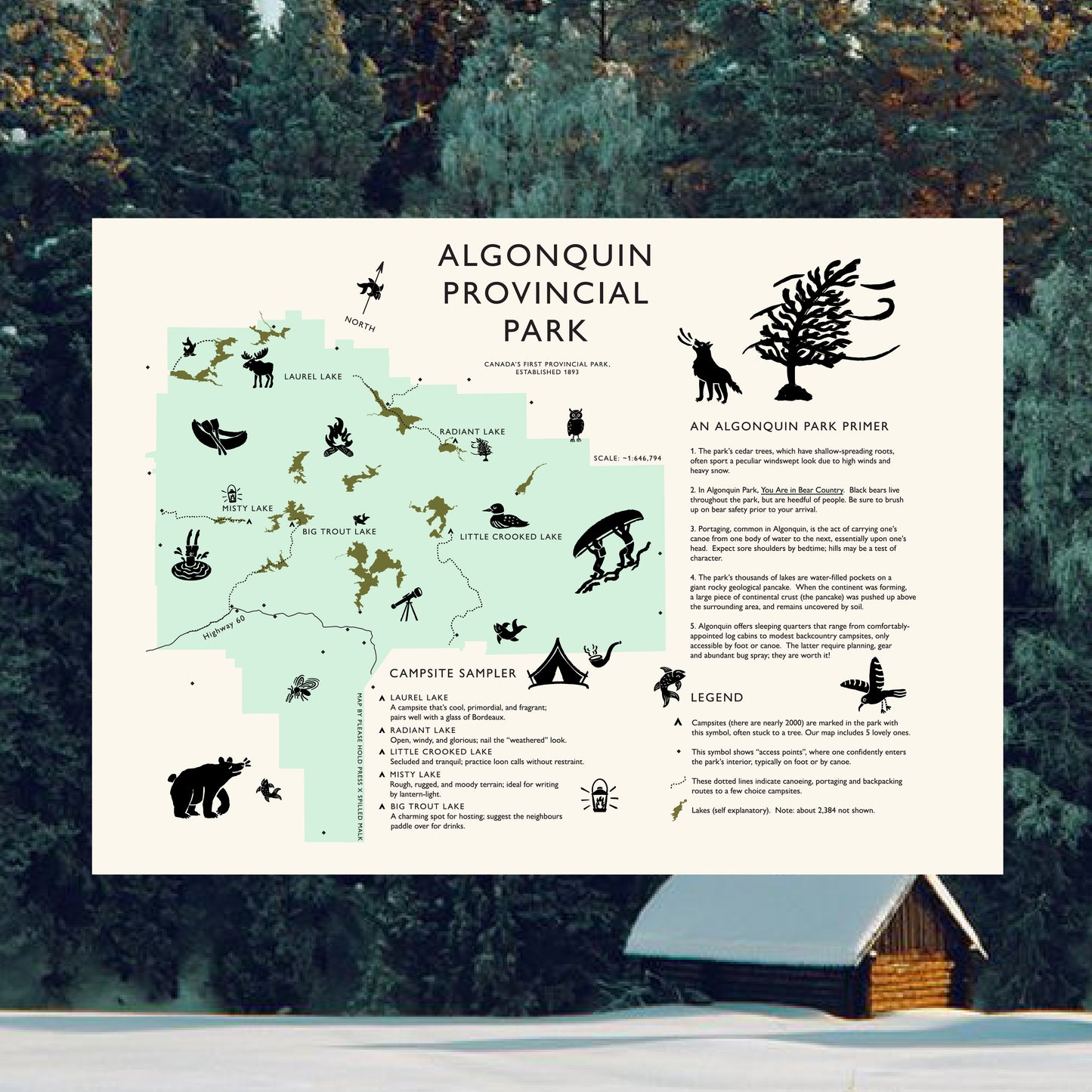 Algonquin Park map | 10.5x13.5"