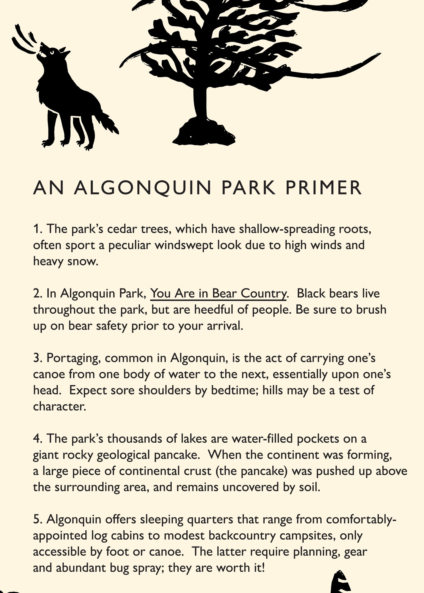 Algonquin Park map | 10.5x13.5"